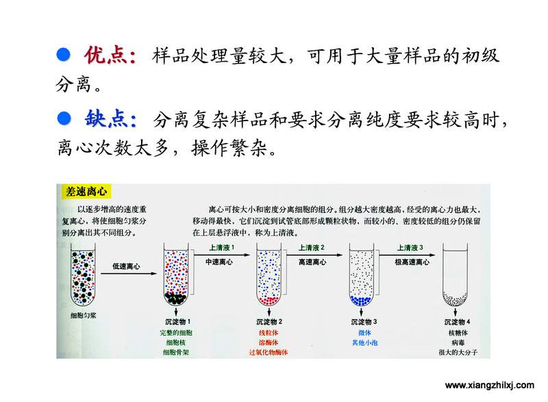 離心機知識圖解大全